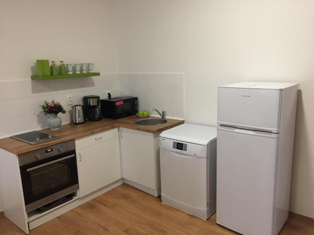 Best Apartments テプリツェ エクステリア 写真