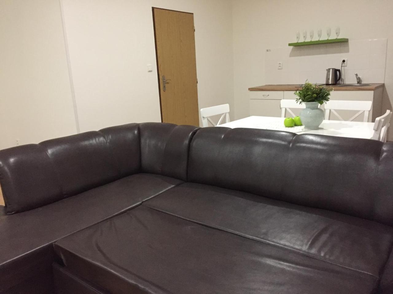 Best Apartments テプリツェ エクステリア 写真